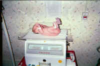 IMG014.JPG (40815 bytes)